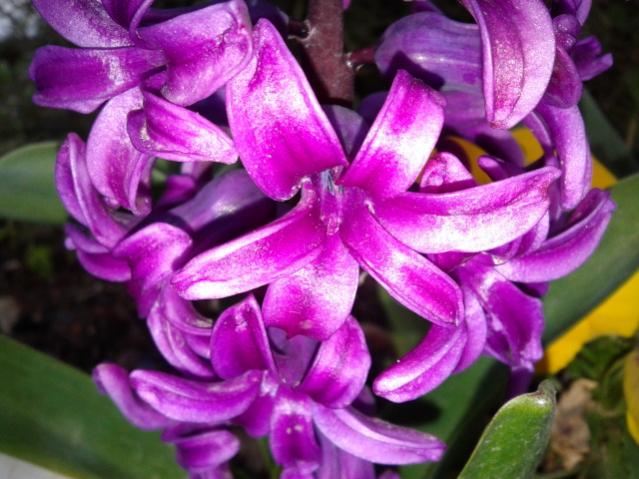 Name:  20130329_064801.jpg
Views: 468
Size:  52.8 KB