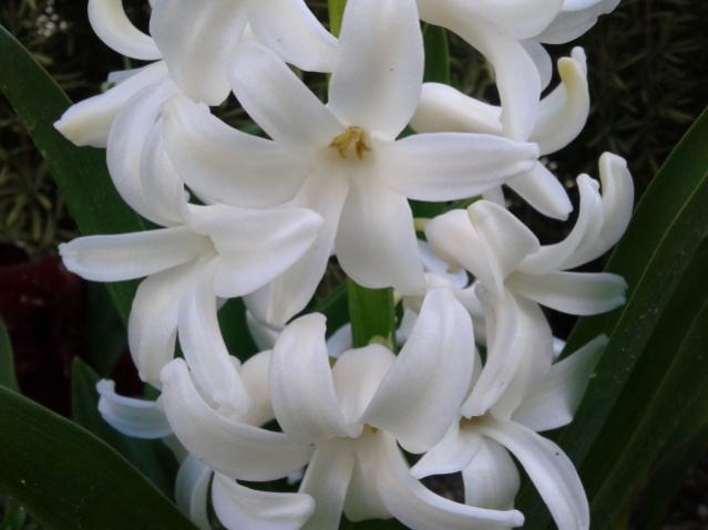 Name:  20130329_072121.jpg
Views: 470
Size:  31.2 KB