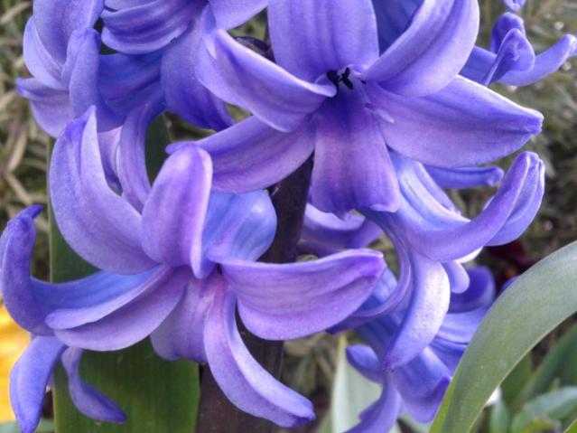 Name:  20130329_072242.jpg
Views: 482
Size:  42.4 KB