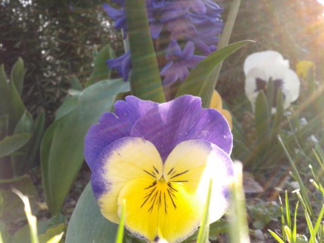 Name:  20130329_072313.jpg
Views: 477
Size:  36.4 KB