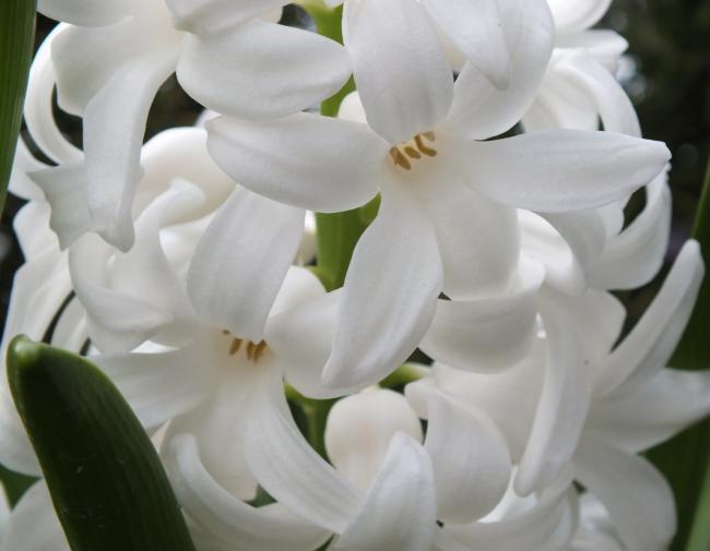 Name:  022.jpg
Views: 428
Size:  28.0 KB