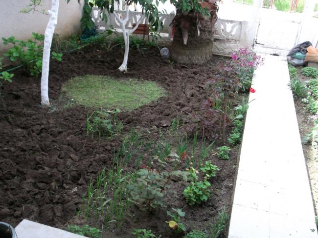 Name:  DSCF2686.jpg
Views: 980
Size:  60.6 KB