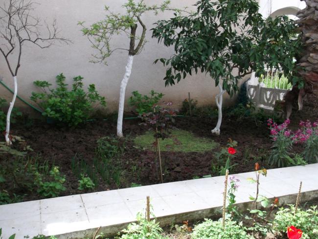 Name:  DSCF2688.jpg
Views: 1008
Size:  64.5 KB