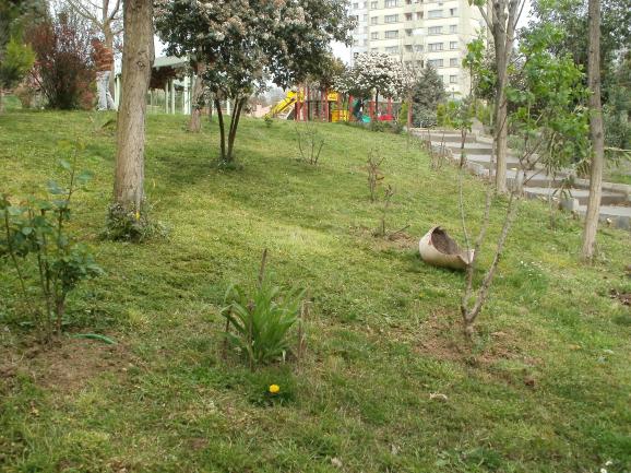 Name:  P1010045a.jpg
Views: 567
Size:  70.5 KB