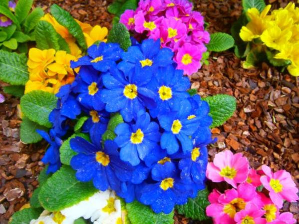 Name:  uha2.jpg
Views: 796
Size:  60.7 KB