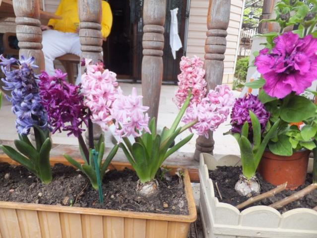 Name:  DSCF2785.jpg
Views: 273
Size:  59.6 KB