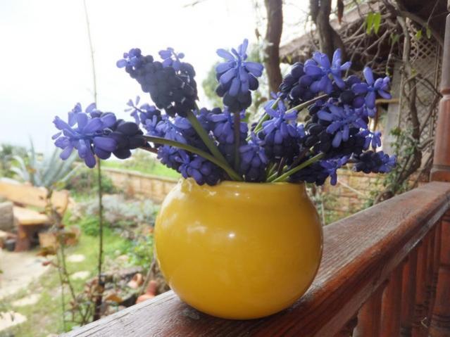 Name:  DSCF2820.jpg
Views: 258
Size:  44.1 KB