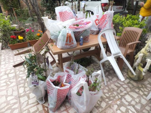 Name:  DSCF2823.jpg
Views: 263
Size:  64.1 KB