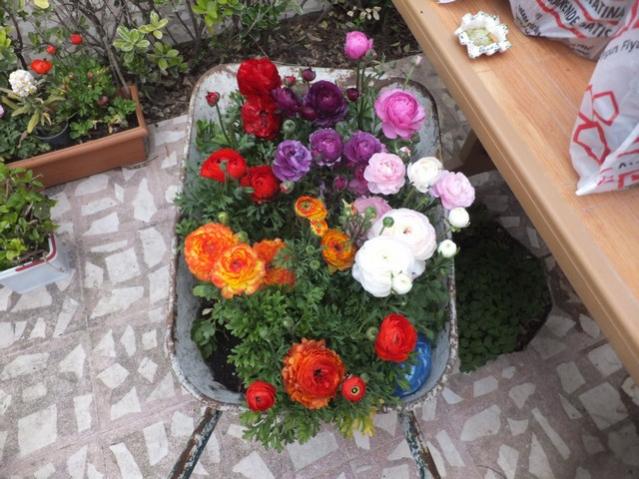 Name:  DSCF2831.jpg
Views: 370
Size:  59.4 KB