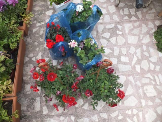 Name:  DSCF2859.jpg
Views: 290
Size:  57.8 KB