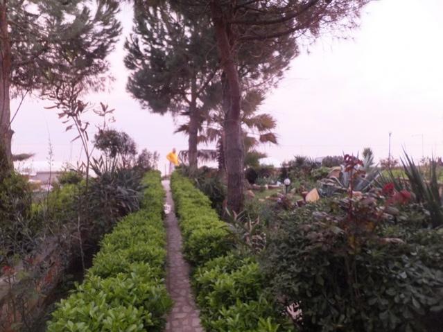 Name:  DSCF2898.jpg
Views: 264
Size:  53.7 KB