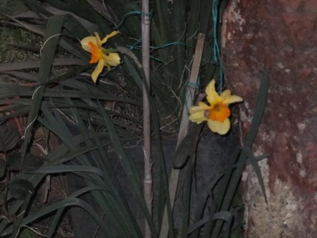 Name:  DSCF2910.jpg
Views: 273
Size:  37.9 KB