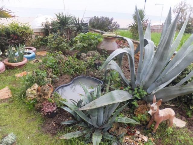 Name:  DSCF2967.jpg
Views: 232
Size:  62.5 KB