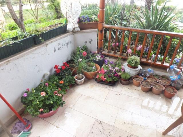 Name:  DSCF2942.jpg
Views: 381
Size:  58.3 KB