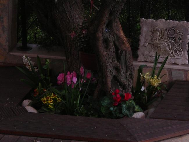 Name:  DSCN8444.jpg
Views: 454
Size:  38.3 KB