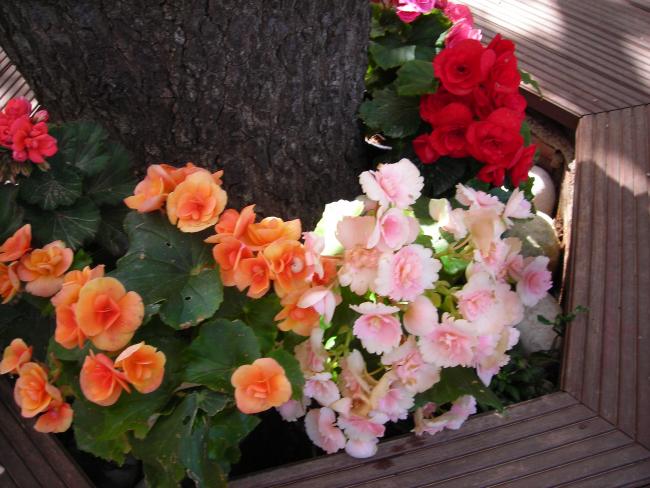 Name:  DSCN8373.jpg
Views: 509
Size:  55.3 KB