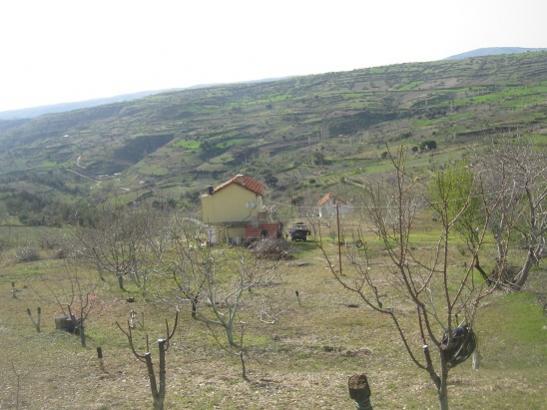 Name:  bahe genel.jpg
Views: 1089
Size:  38.3 KB