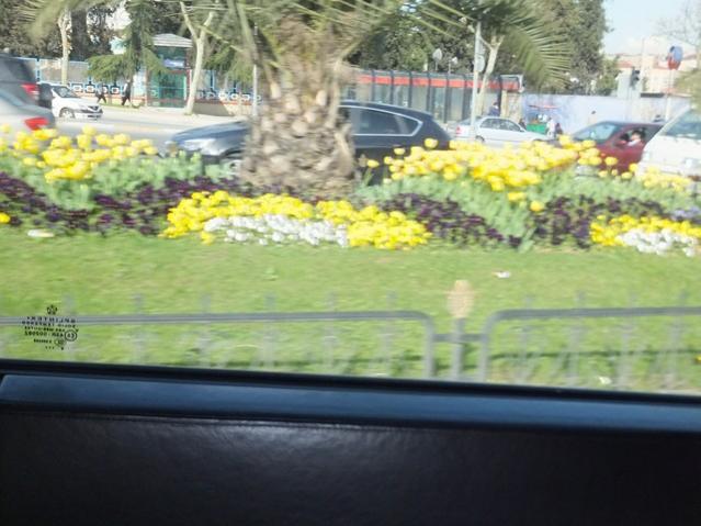 Name:  DSCF2996.jpg
Views: 360
Size:  47.3 KB