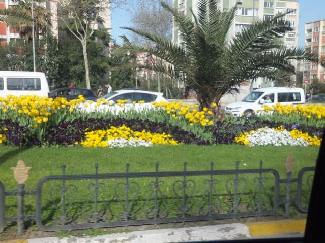 Name:  DSCF3007.jpg
Views: 364
Size:  67.2 KB