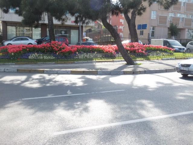 Name:  DSCF3008.jpg
Views: 656
Size:  50.1 KB