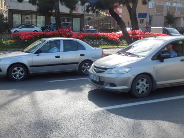 Name:  DSCF3009.jpg
Views: 636
Size:  49.0 KB