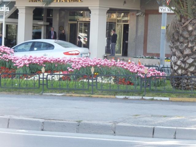 Name:  DSCF3014.jpg
Views: 615
Size:  48.6 KB