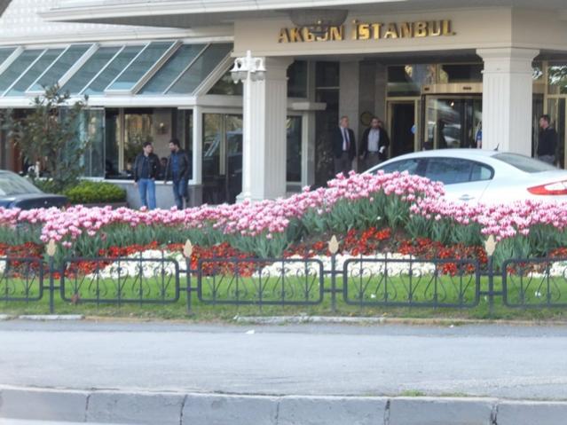 Name:  DSCF3015.jpg
Views: 382
Size:  51.7 KB