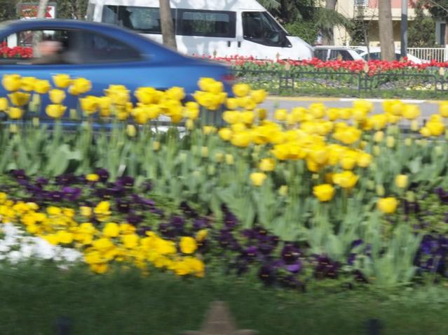 Name:  DSCF3020.jpg
Views: 393
Size:  51.8 KB