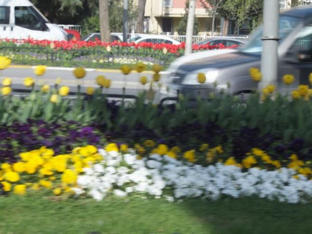 Name:  DSCF3021.jpg
Views: 380
Size:  46.9 KB
