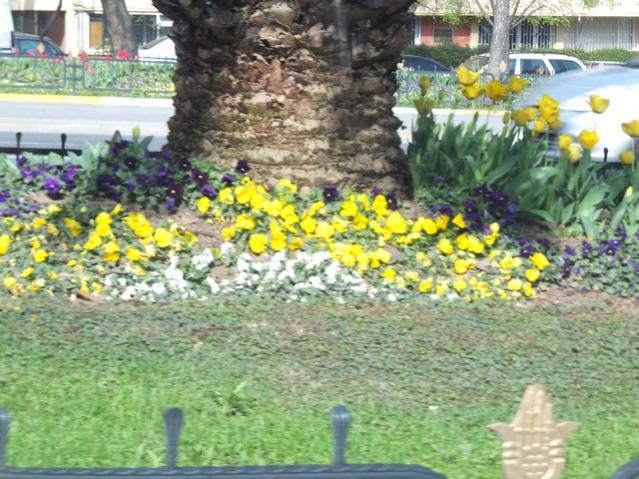 Name:  DSCF3025.jpg
Views: 368
Size:  67.6 KB