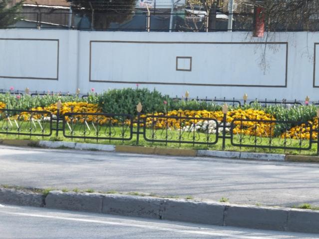 Name:  DSCF3026.jpg
Views: 356
Size:  50.8 KB