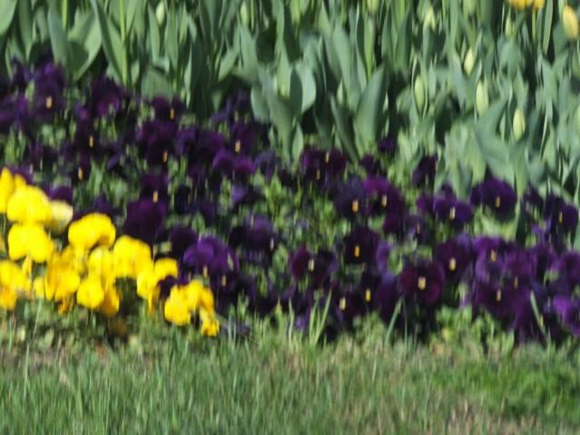 Name:  DSCF3027.jpg
Views: 365
Size:  50.2 KB