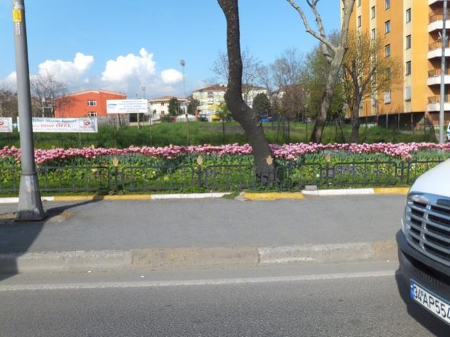Name:  DSCF3030.jpg
Views: 362
Size:  48.7 KB