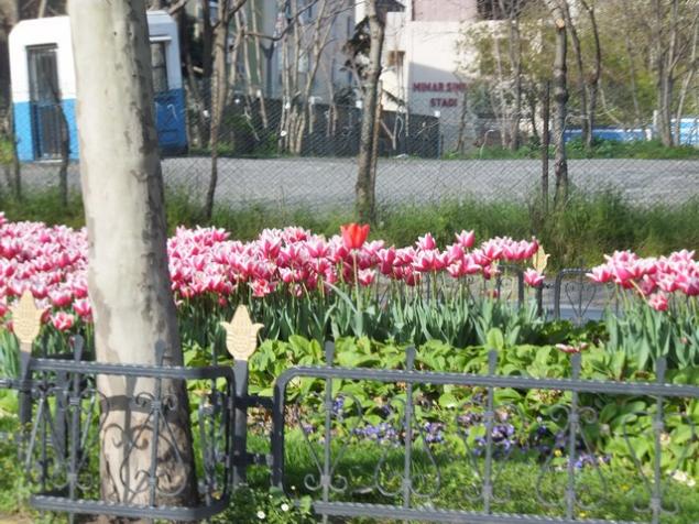 Name:  DSCF3032.jpg
Views: 373
Size:  71.3 KB