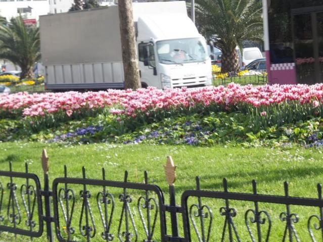 Name:  DSCF3040.jpg
Views: 370
Size:  66.7 KB