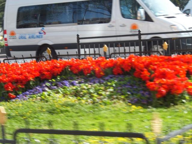 Name:  DSCF3045.jpg
Views: 385
Size:  53.7 KB