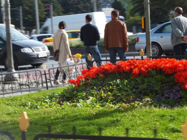 Name:  DSCF3046.jpg
Views: 346
Size:  59.5 KB