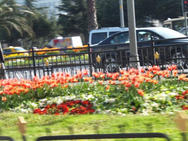 Name:  DSCF3047.jpg
Views: 348
Size:  57.2 KB