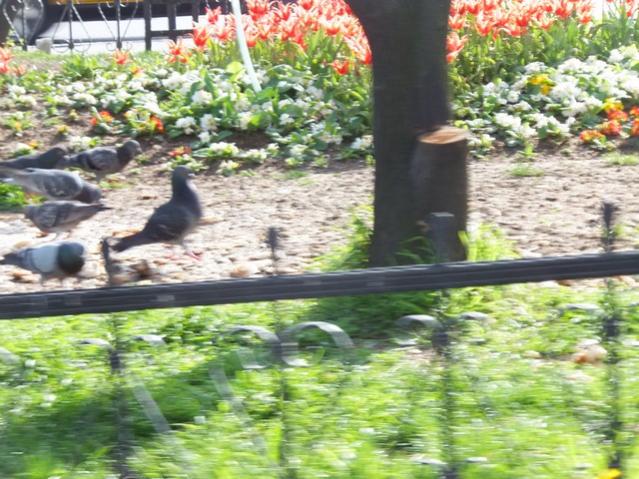 Name:  DSCF3057.jpg
Views: 369
Size:  67.2 KB