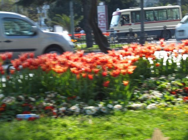 Name:  DSCF3059.jpg
Views: 352
Size:  53.1 KB