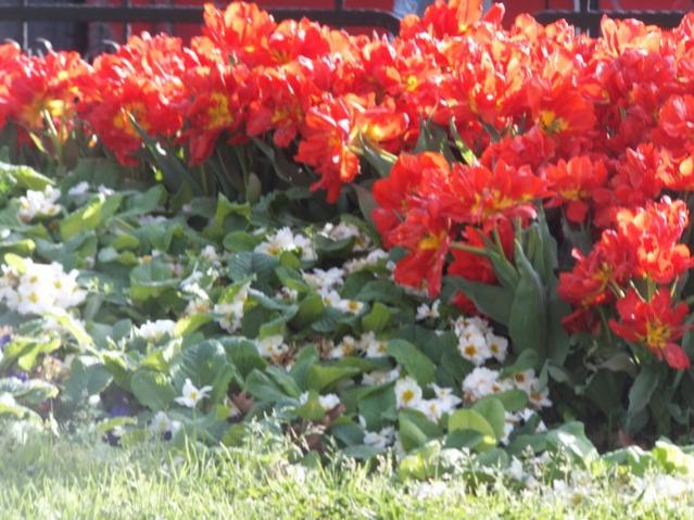 Name:  DSCF3066.jpg
Views: 379
Size:  61.6 KB