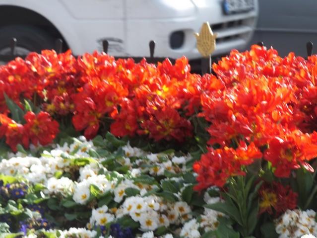 Name:  DSCF3067.jpg
Views: 341
Size:  51.3 KB