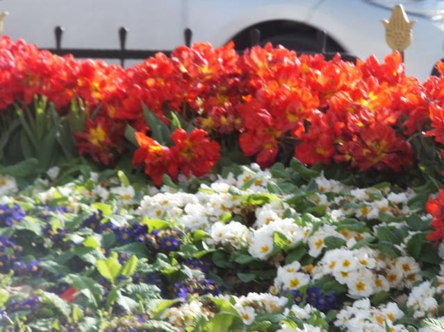 Name:  DSCF3071.jpg
Views: 348
Size:  55.1 KB
