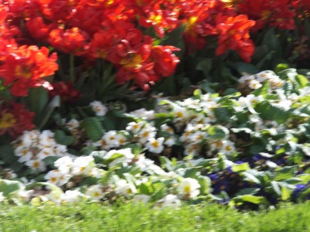 Name:  DSCF3072.jpg
Views: 343
Size:  53.4 KB