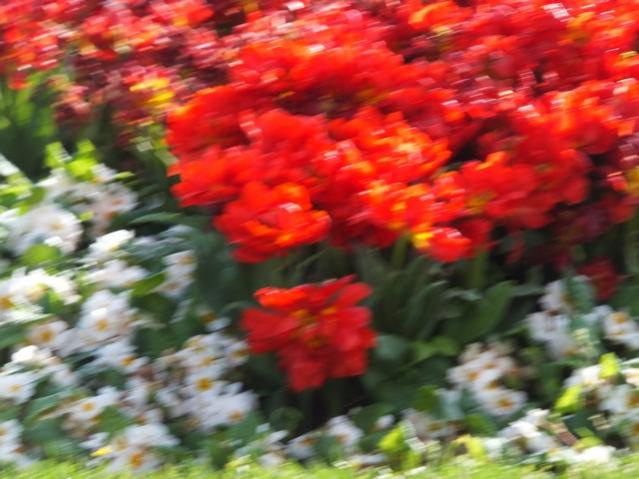 Name:  DSCF3074.jpg
Views: 360
Size:  47.7 KB
