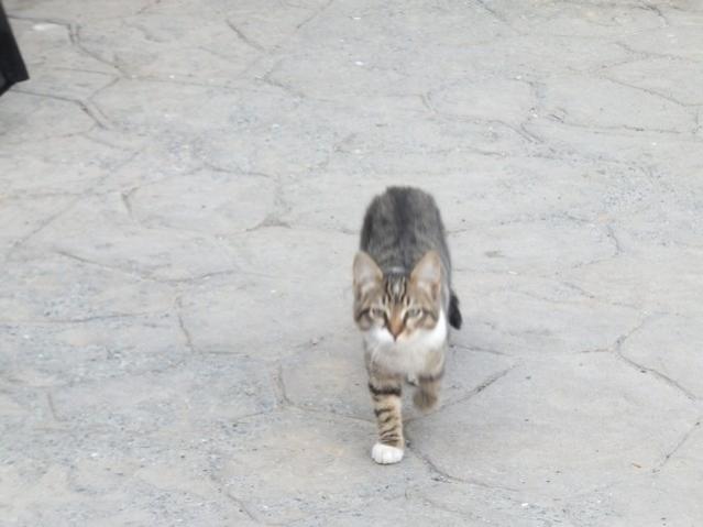 Name:  DSCF3076.jpg
Views: 332
Size:  31.4 KB