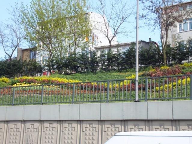 Name:  DSCF3119.jpg
Views: 347
Size:  63.8 KB