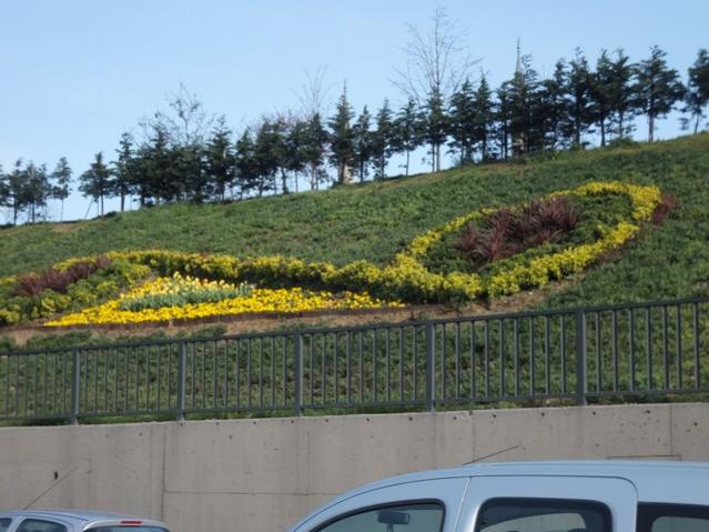 Name:  DSCF3124.jpg
Views: 323
Size:  52.0 KB