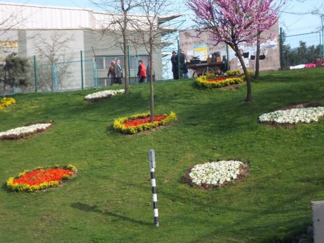 Name:  DSCF3126.jpg
Views: 335
Size:  58.3 KB