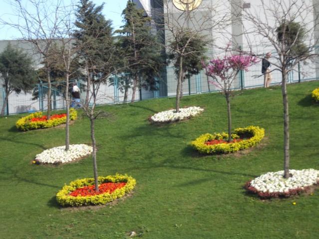Name:  DSCF3129.jpg
Views: 337
Size:  60.5 KB